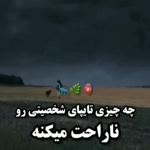 تایپای شخصیتی :)