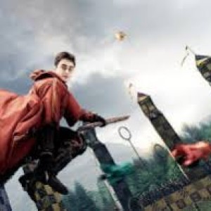 جام جهانی کوییدیچ