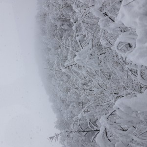 تست هوش پارت۲