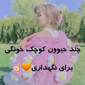 کاور