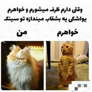 کاور