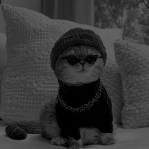 درمورد MBTI:)))