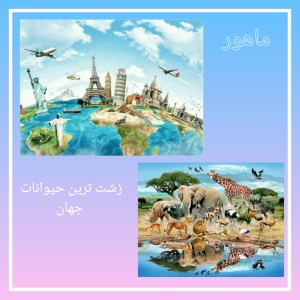 کاور