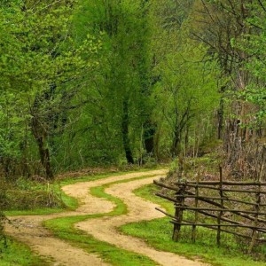 بیا ریاضیتو بسنجم...!(2)