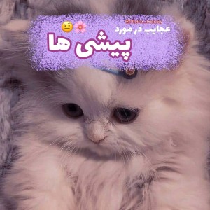 کاور