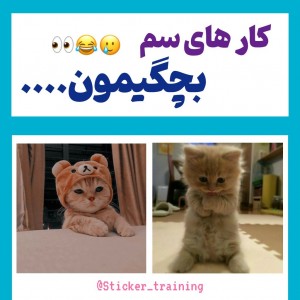 عکس به مقدار زیادی حق...😌