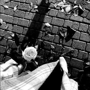 شخصیت شناسی باحال