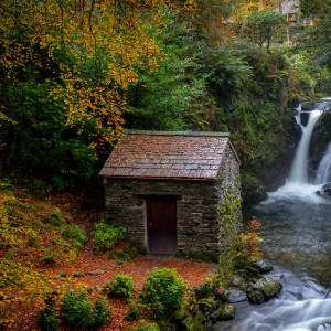 حدس شخصیت با انتخاب خودت