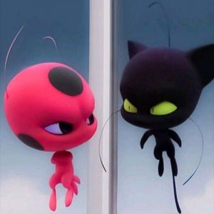 تکراری ترین ها...