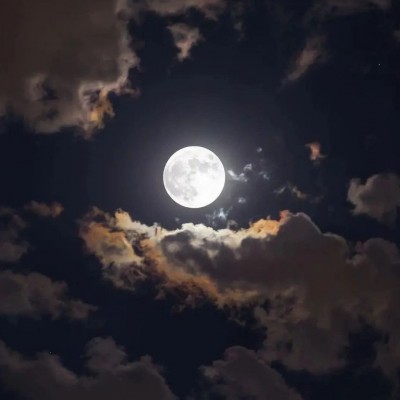 عکس میدونستی که...