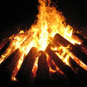 کاور