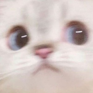 ....قشنگترین....