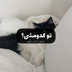 تو‌کدومشی؛
