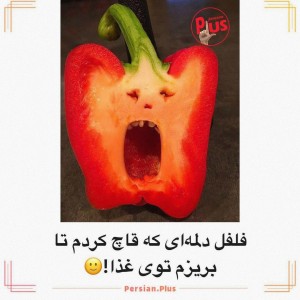 عکس شکل های عجیب خوراکی ها:)