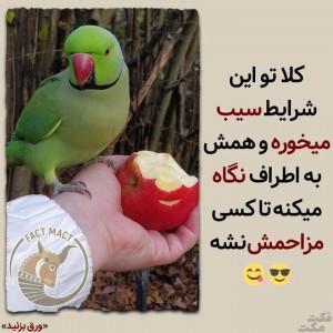 عکس 🤍 توییت هایی با حس و حال خوب 🤍