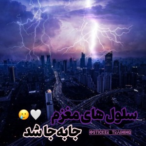 کاور