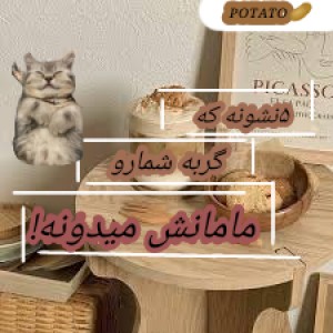 عکس نشونهایی‌که‌گربه...!