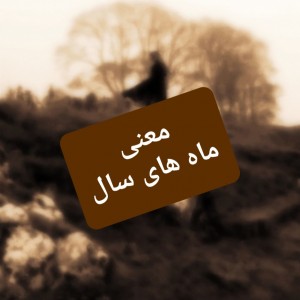 معنی ما های سال 🤎