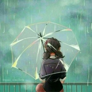 لیدیباگ های گذشته