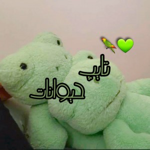 تایپ حیوانات🐈