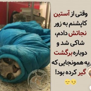 عکس توییت باحال 😸