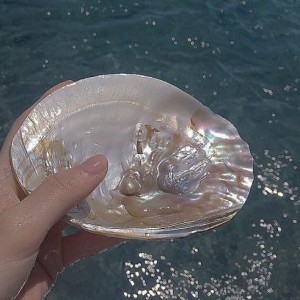 لیوای‌کت‌هانجیو‌پوشیده: