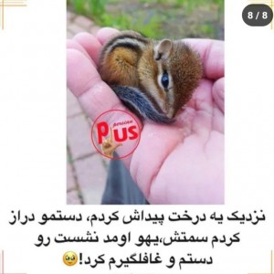 عکس کوچولو های کیوت🦄