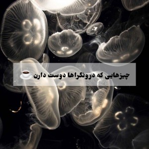 عکس چیزهایی که درونگراها دوست دارن