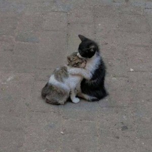 《نکاتی در ایام امتحانات》