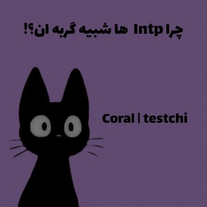 عکس چرا intp ها شبیه گربه ان؟!🐈‍⬛