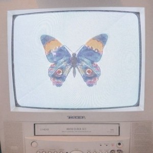 دختری‌که‌اروین‌دوستش‌داشت: