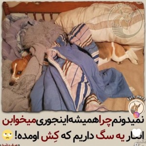 عکس خطای دید 😁