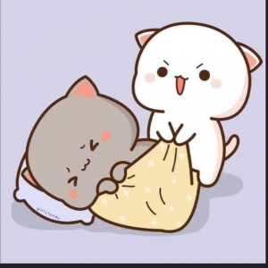 کاور