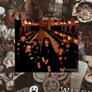 طنز هری پاتر