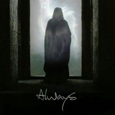 history | سرگذشت