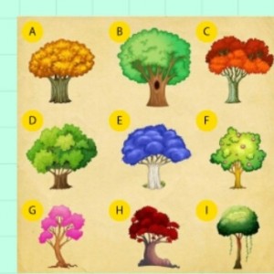 تست شخصیت شناسی از روی درخت