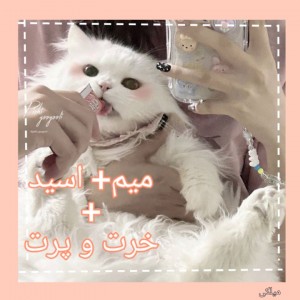 کاور