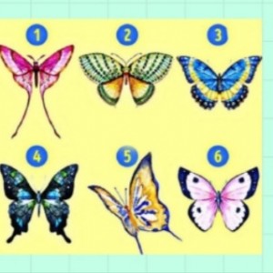 تست شخصیت شناسی از روی پروانه