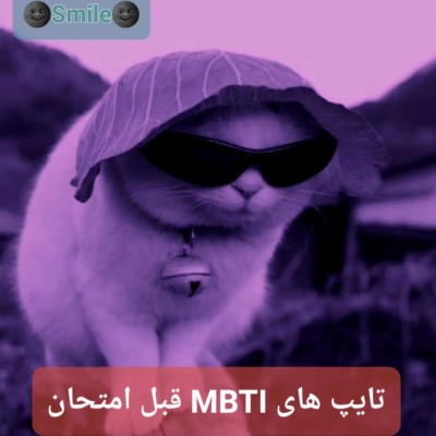 عکس تایپ های MBTI قبل امتحان:)