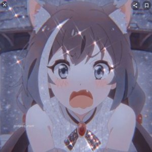 درگیری های یک اوتاکو