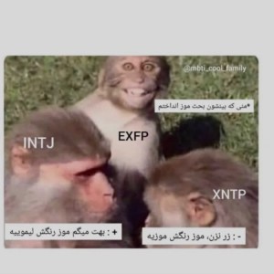 میم MBTI