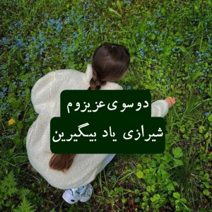 عکس لهجه شیرازی