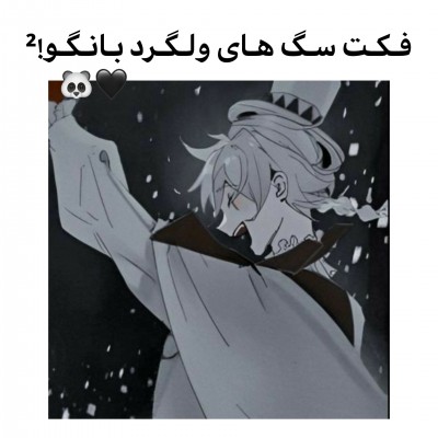 تست فـکـت‌بـانـگـو!²