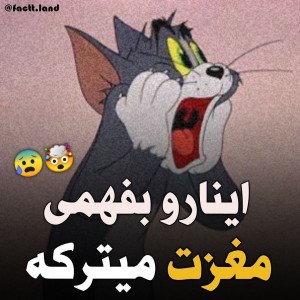 عکس اینارو بفهمی مغزت میترکه 😱