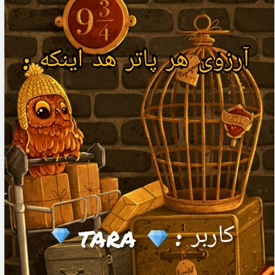 ارزوی هر پاتر هد  اینکه :