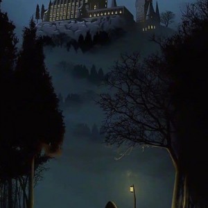 به خاطر شما p⁴