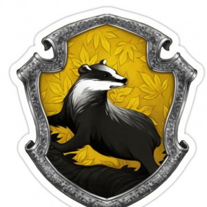 وایب هافلپاف💛🦨🖤