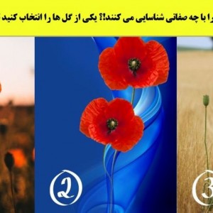 تست شخصیت شناسی