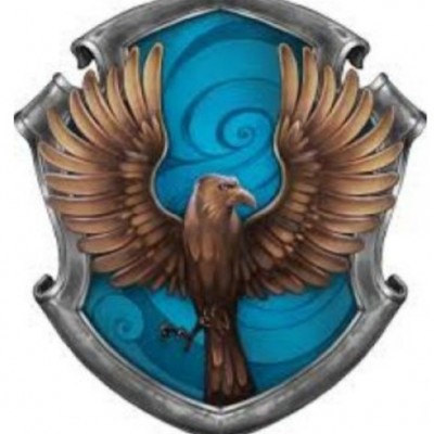 وایب ریونکلاو 💙🦅🤍