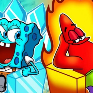 تئوری باب اسفنجی